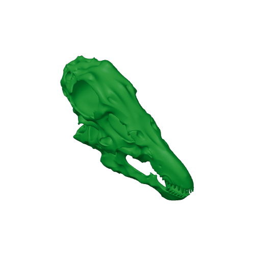Nodocephalosaurus Skull.3mf