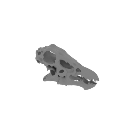 Nodocephalosaurus Skull.stl