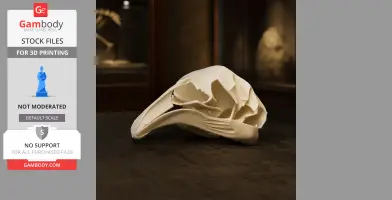 North Island Giant Moa Skull - Skull Replica STL