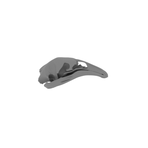 North Island Giant Moa Skull.stl