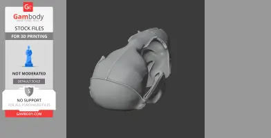 Northern Fur Seal Skull - Skull Replica STL
