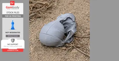 Northern Fur Seal Skull - Skull Replica STL