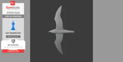 Atlantic petrel - Prehistoric Animal STL