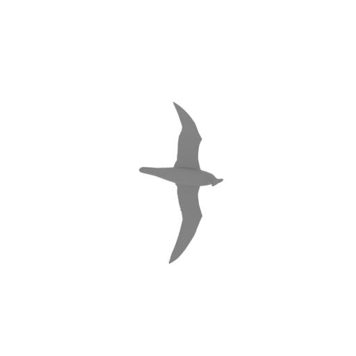 Atlantic petrel.stl