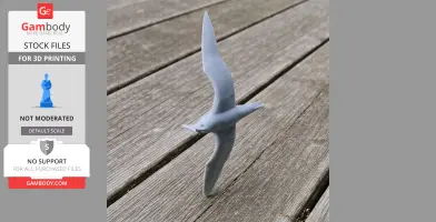 Atlantic petrel - Prehistoric Animal STL