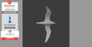 Atlantic petrel - Prehistoric Animal STL