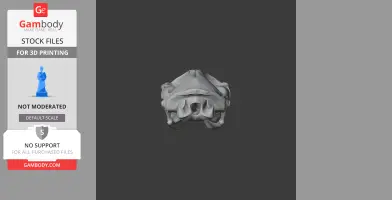 Northern Quoll Skull - Skull Replica STL