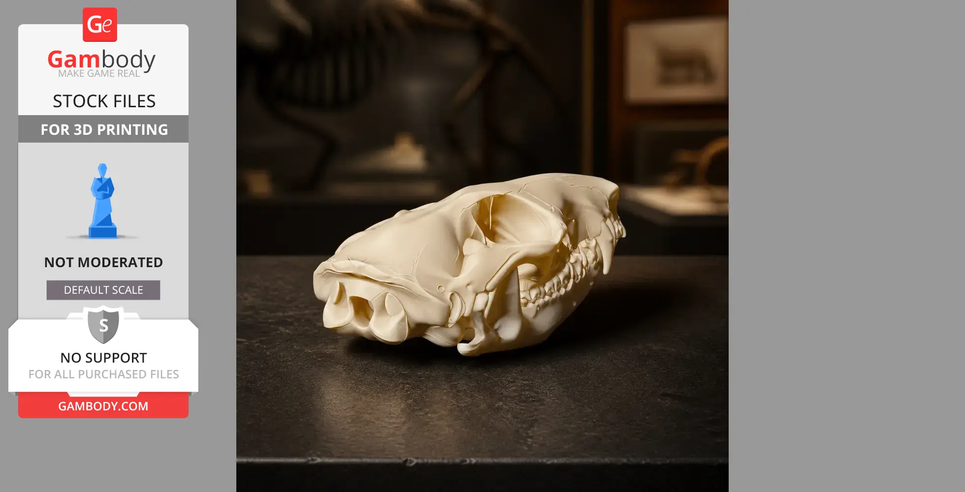 Northern Quoll Skull - Skull Replica STL