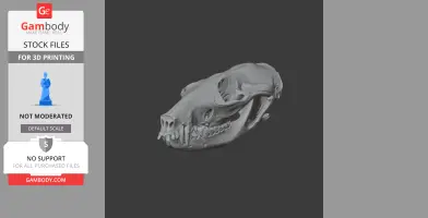 Northern Quoll Skull - Skull Replica STL