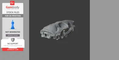 Northern Quoll Skull - Skull Replica STL