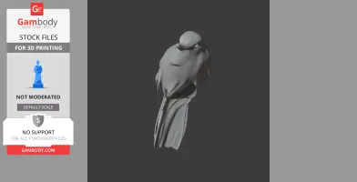Atlantic plain xenops - Prehistoric Animal STL