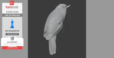 Atlantic plain xenops - Prehistoric Animal STL
