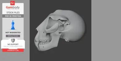 Side view of a detailed Nototherium skull model, designed for 3D printing from Gambody.