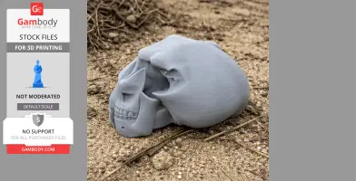 3D-printed Nototherium skull model resting on sandy ground.