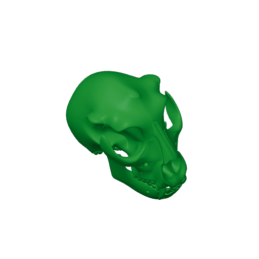 Nototherium Skull.3mf