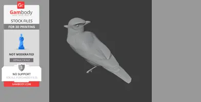 Atlas pied flycatcher - Prehistoric Animal STL