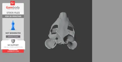 3D model of a nutria skull, showcasing detailed bone structure against a dark background.