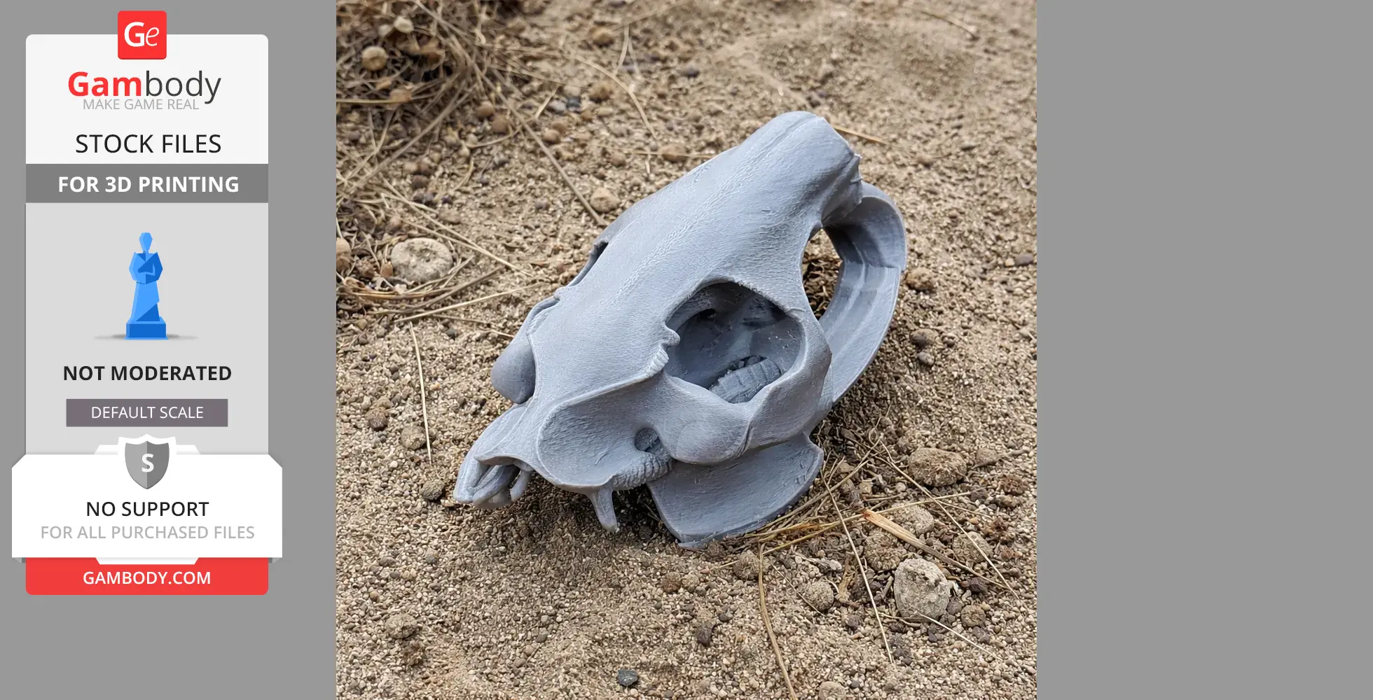3D-printed nutria skull replica on sandy ground, showing detailed structure and texture.