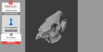 3D model of a nutria skull, showing detailed bone structure for printing.