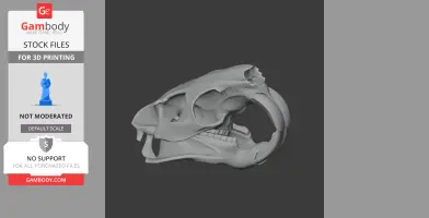 3D model of a nutria (coypu) skull, side view, detailed structure for printing.