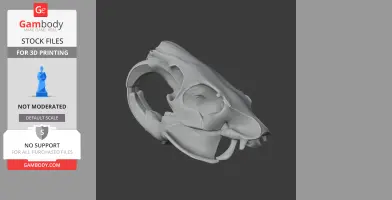 3D model of a nutria (coypu) skull, showcasing detailed bone structure for 3D printing.