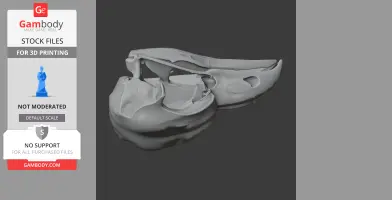 Oilbird Skull - Skull Replica STL