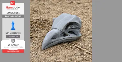 Oilbird Skull - Skull Replica STL