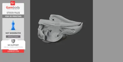Oilbird Skull - Skull Replica STL