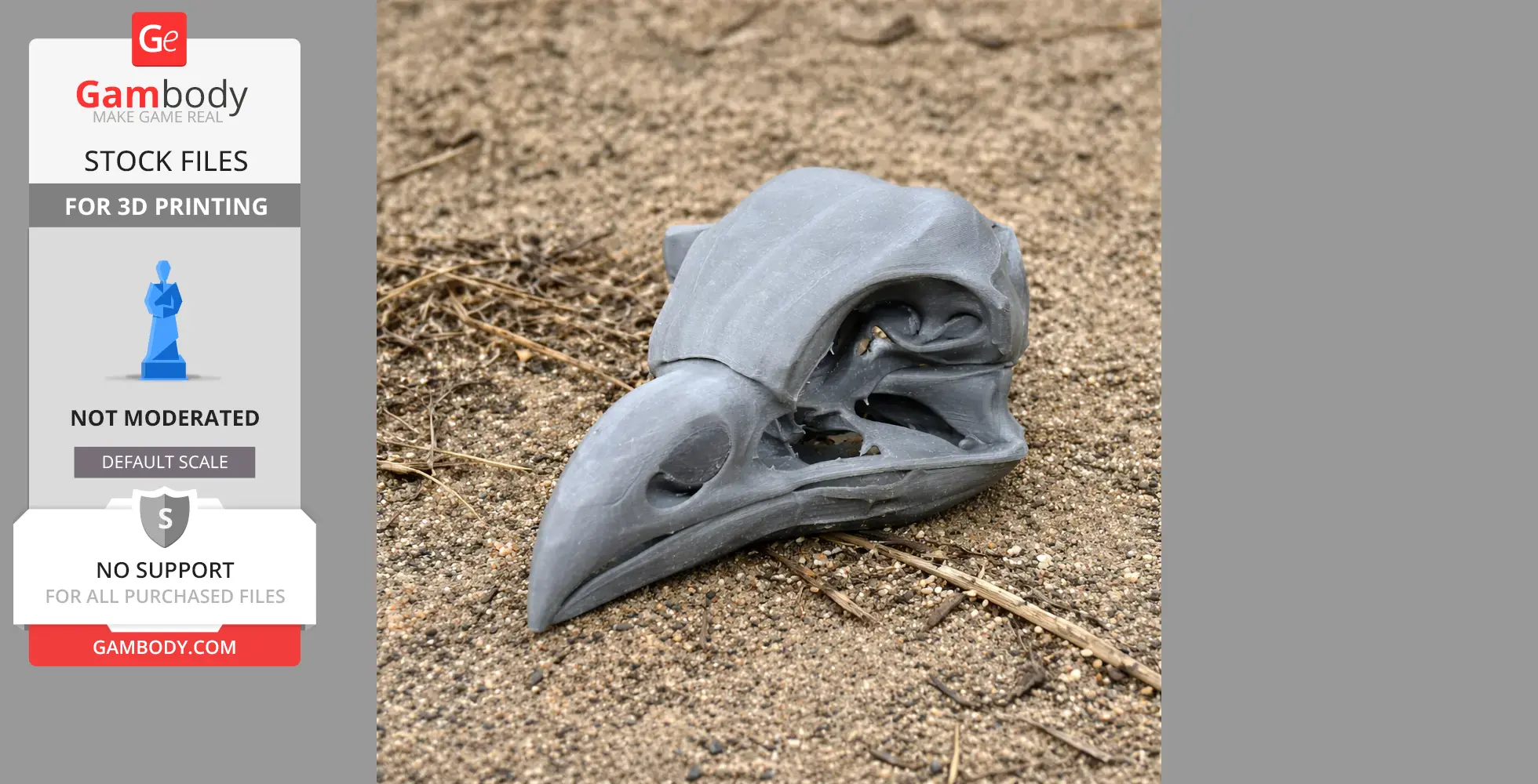 Oilbird Skull - Skull Replica STL