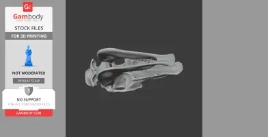 3D model of an olingo skull, featuring detailed bone structures for 3D printing.