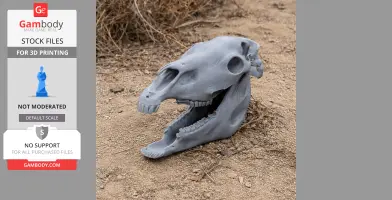 3D-printed olingo skull replica displayed on sandy ground with vegetation.
