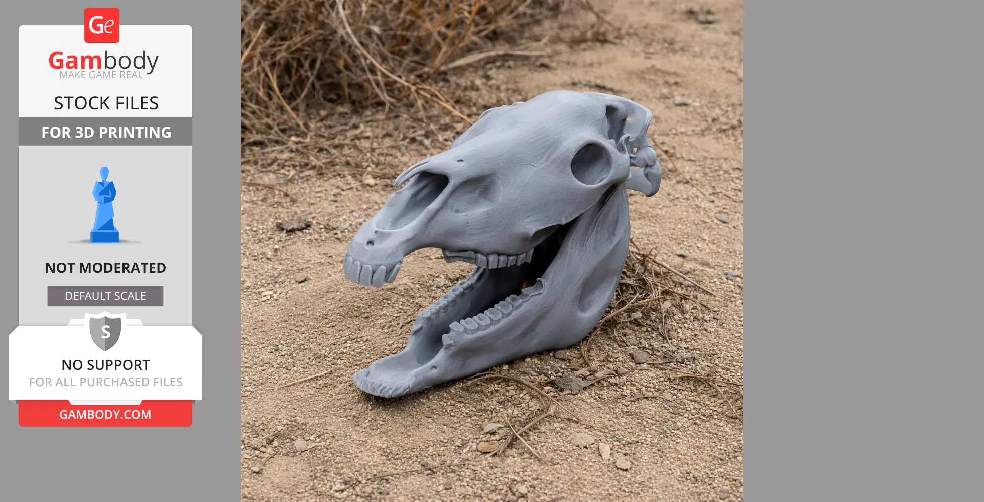 3D-printed olingo skull replica displayed on sandy ground with vegetation.