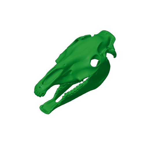 Olingo Skull.3mf