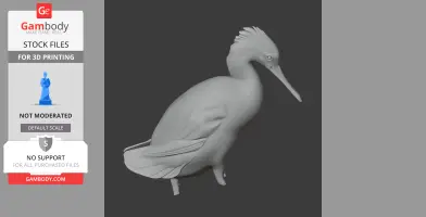 Auckland Island merganser - Prehistoric Animal STL
