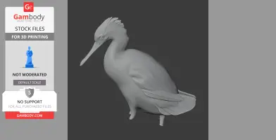 Auckland Island merganser - Prehistoric Animal STL