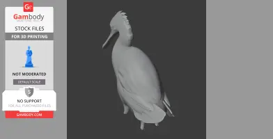 Auckland Island merganser - Prehistoric Animal STL