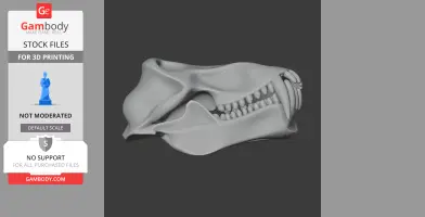 3D model of an olive baboon skull, showing detailed teeth and bone structure, for 3D printing.
