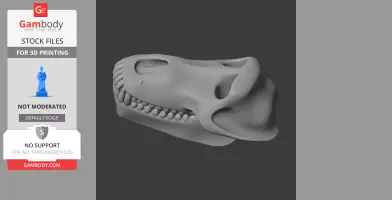 3D model of an olive baboon skull, showcasing teeth and detailed facial bone structure.