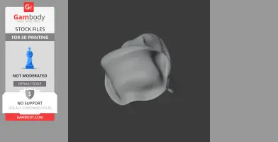 A 3D model of an olive baboon skull, viewed from a top angle, designed for 3D printing.