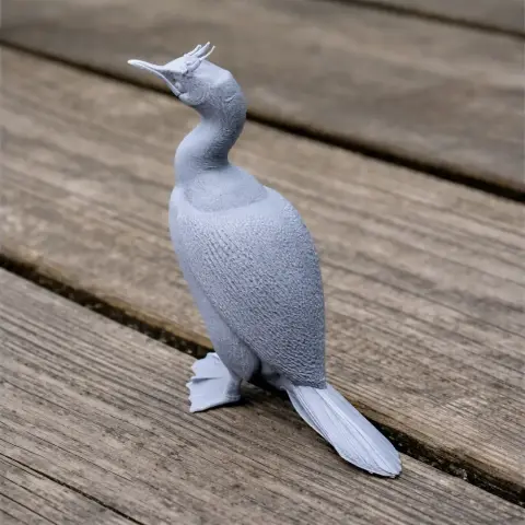 3D printed model of an Auckland shag, a prehistoric bird, standing on a wooden surface.