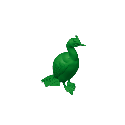 Auckland shag.3mf