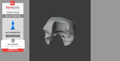 3D model of an Olive Ridley turtle skull, designed for 3D printing, shown on a gray background.