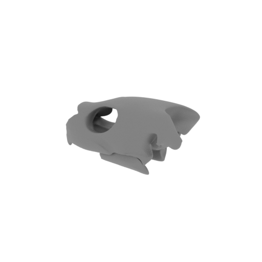 Olive Ridley Turtle Skull.stl