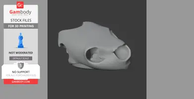 A 3D model of an Olive Ridley turtle skull, gray, showing the shape and details for printing.