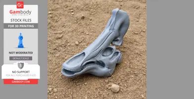 3D printed Olorotitan skull replica displayed on a sandy surface.