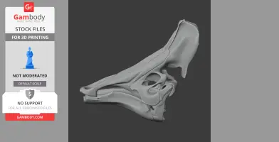 3D model of an Olorotitan dinosaur skull, side view, for 3D printing.