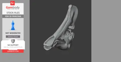 3D model of an Olorotitan dinosaur skull replica, shown in profile for 3D printing.