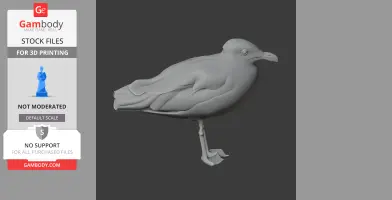 3D model of a gull standing sideways, detailed feathers, on one leg, designed for 3D printing.