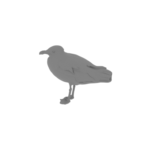 Audouin's gull.stl