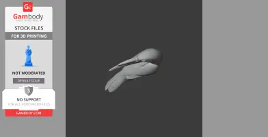 3D model of a prehistoric bird with a long beak, viewed from the side, designed for 3D printing.